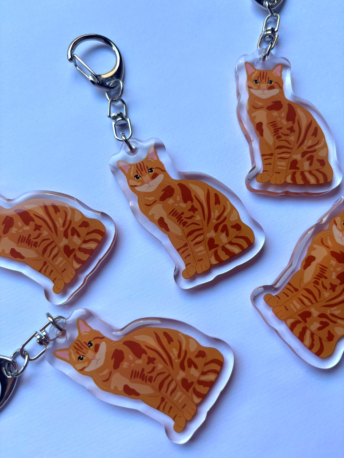 Llavero Gato europeo común naranja