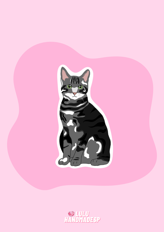 Sticker - Gato europeo común atigrado oscuro