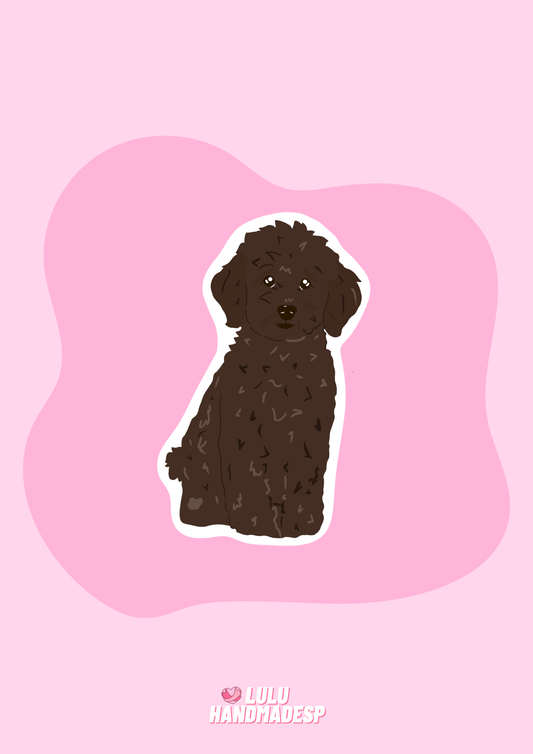 Sticker - Caniche marrón
