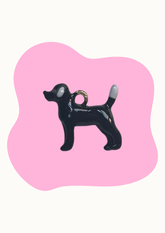Charm - Perro negro