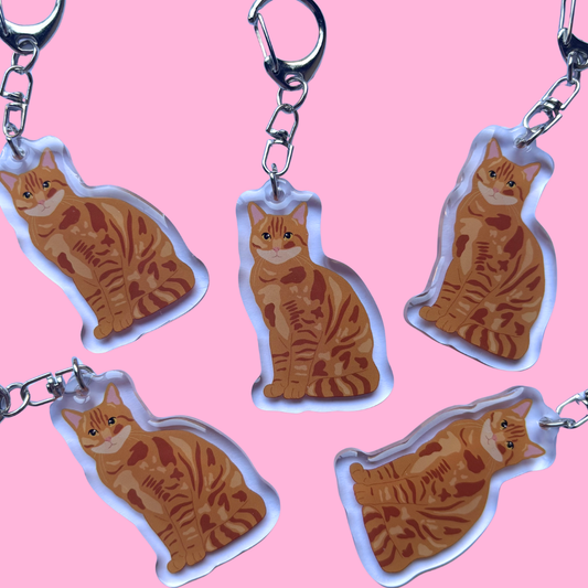 Llavero Gato europeo común naranja