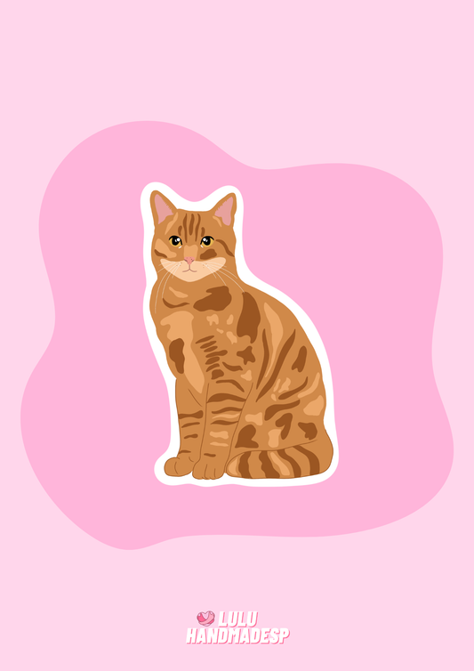 Sticker - Gato europeo común naranja