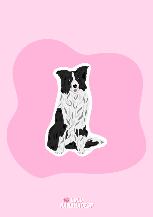 Sticker - Border Collie Blanco y negro