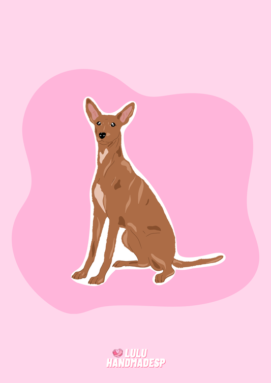 Sticker - Podenco