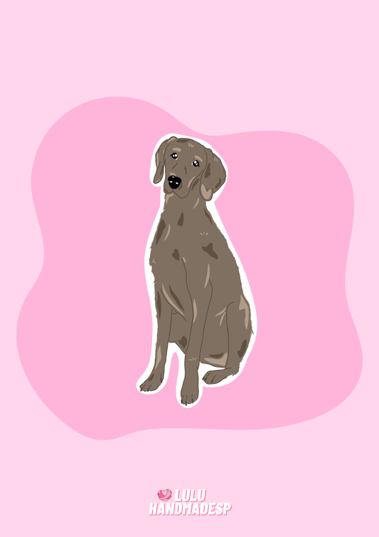Sticker - Braco de Weimmar