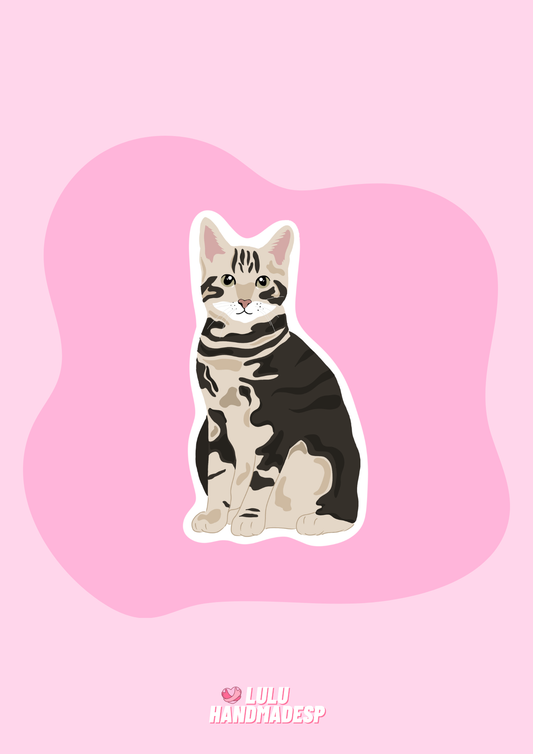 Sticker - Gato europeo común atigrado claro