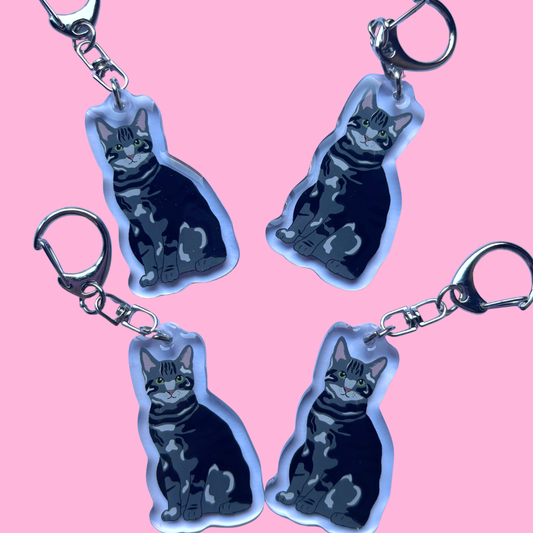 Llavero Gato europeo común atigrado oscuro