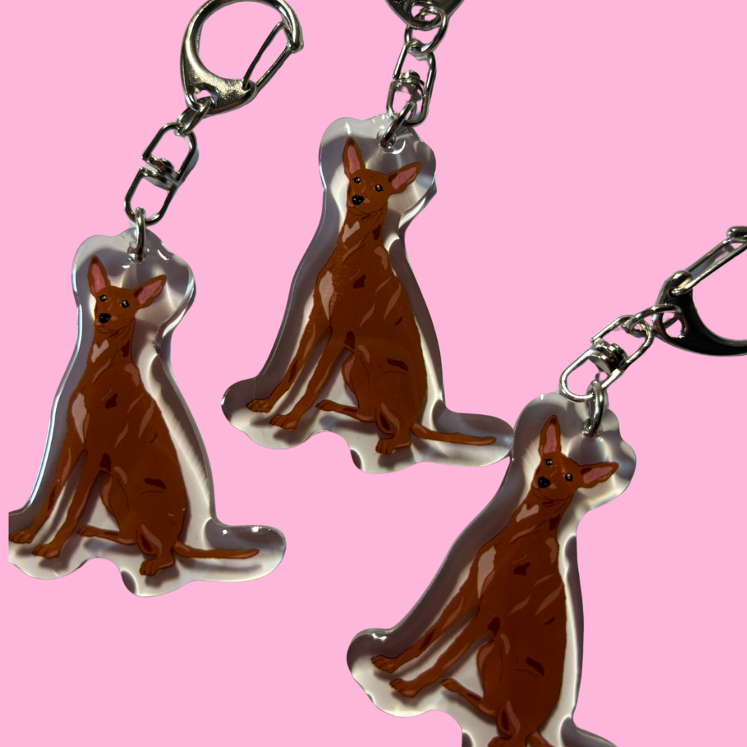 Llavero Podenco