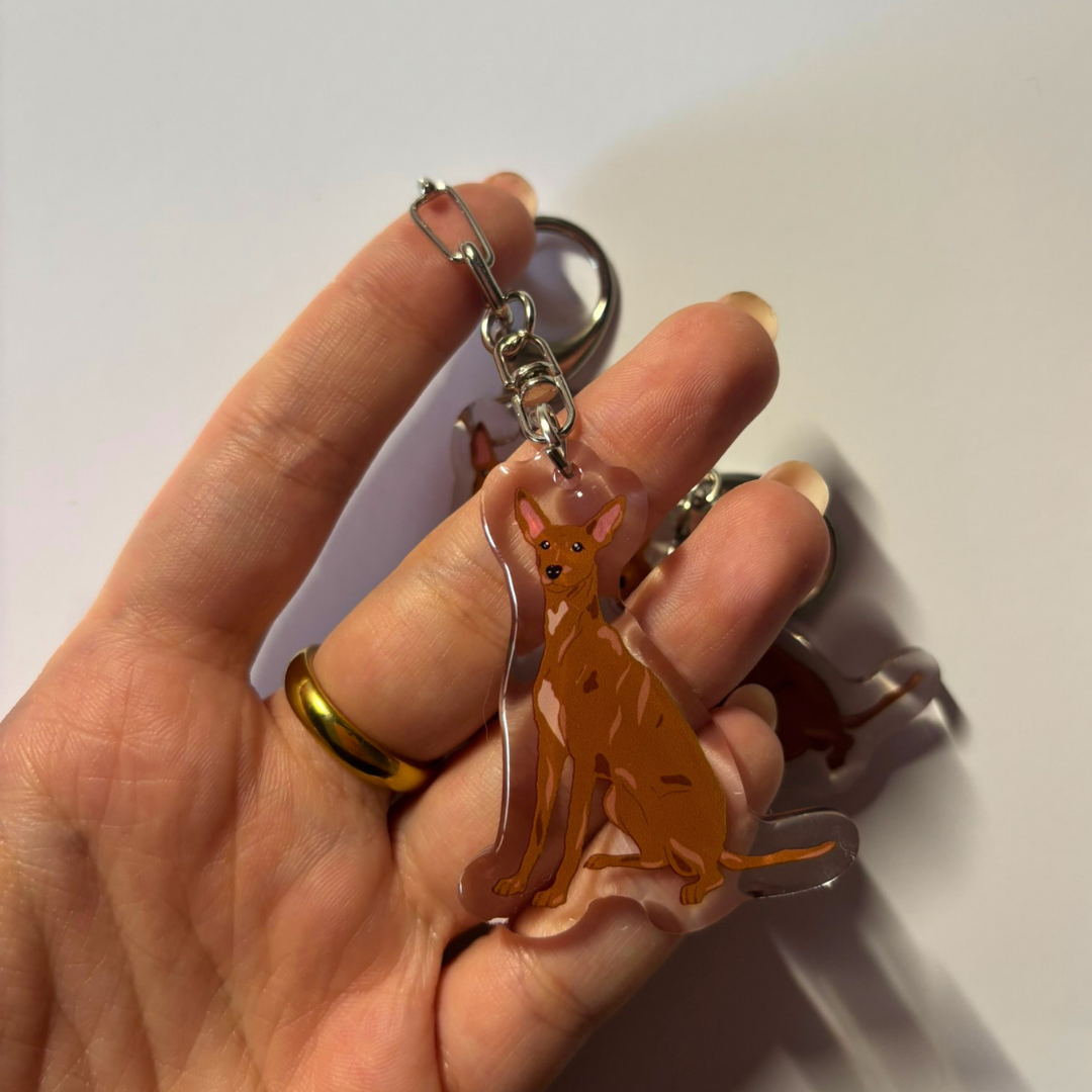 Llavero Podenco