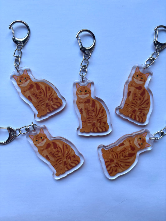 Llavero Gato europeo común naranja