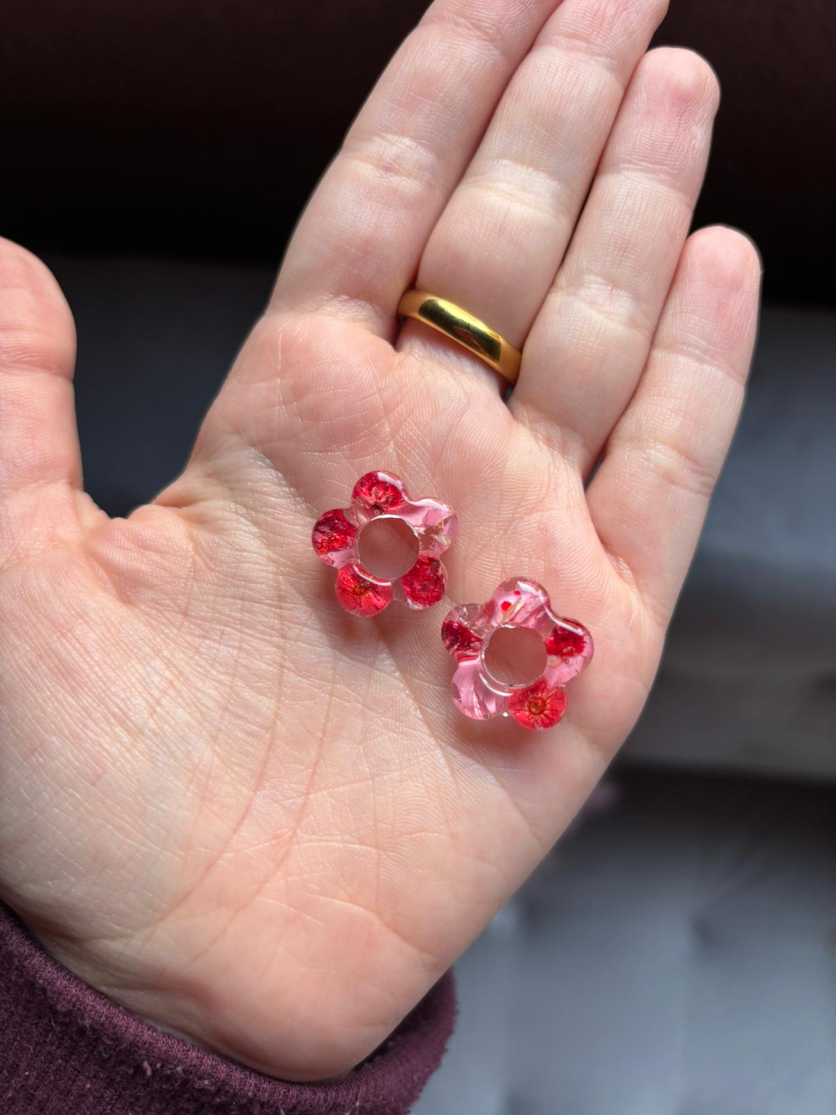 Flores de Geranio y Cosmos rojo y rosita