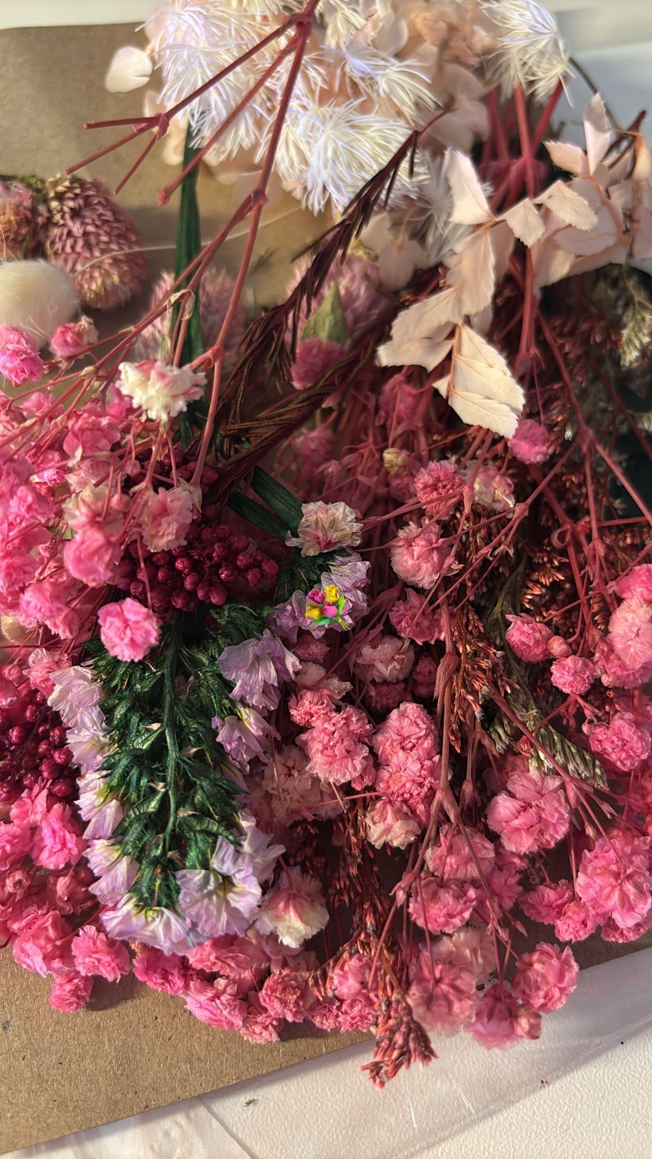 Flores de Paniculata rosa
