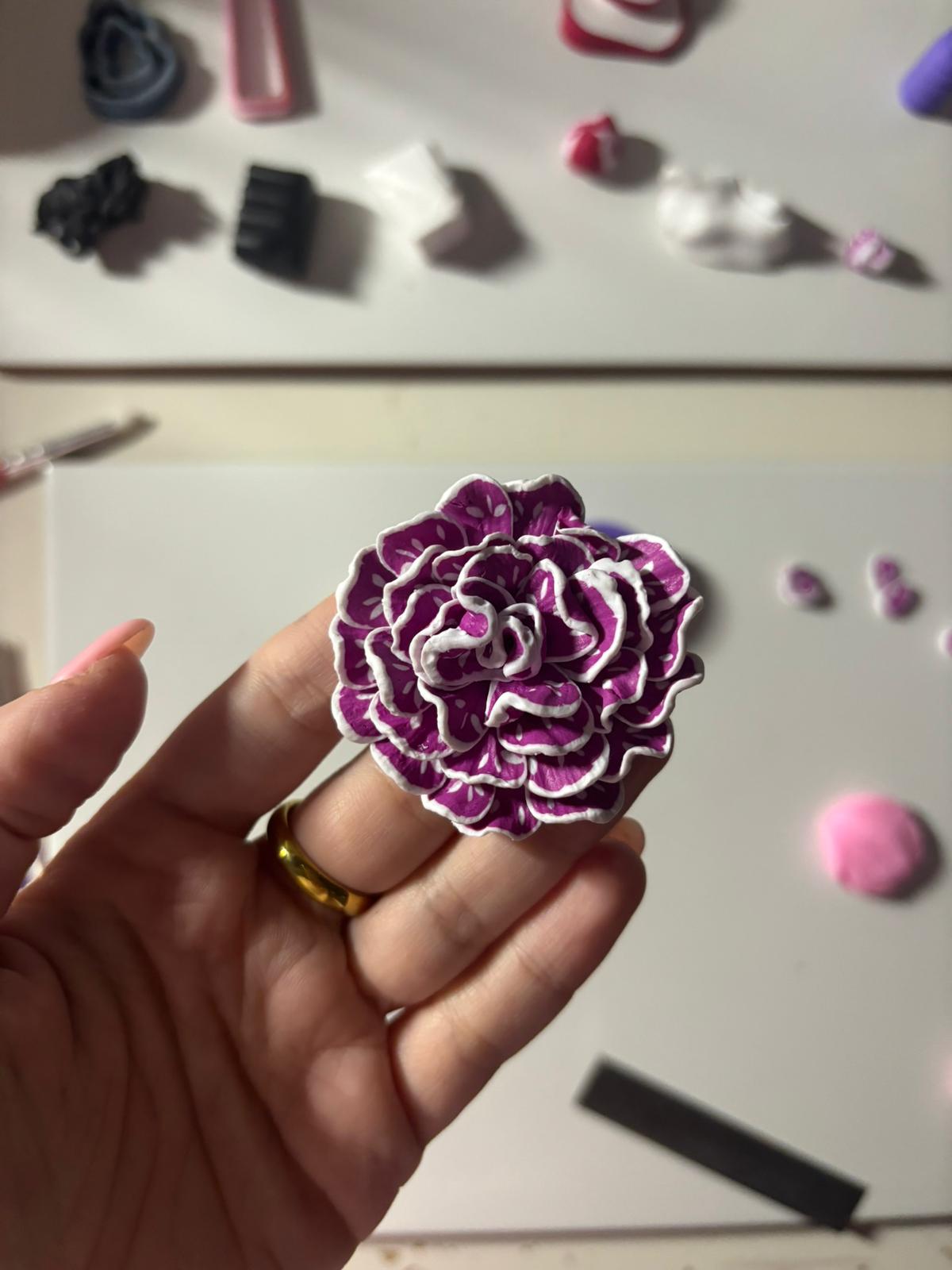 Córdoba (Clavel fucsia y blanco)
