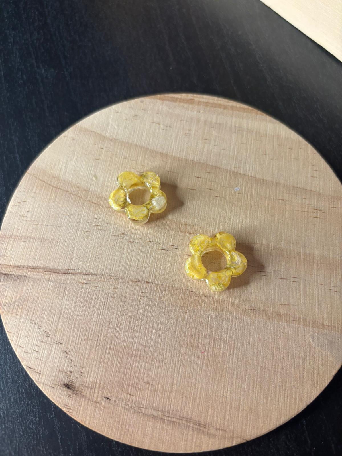 Pendientes de flores preservadas